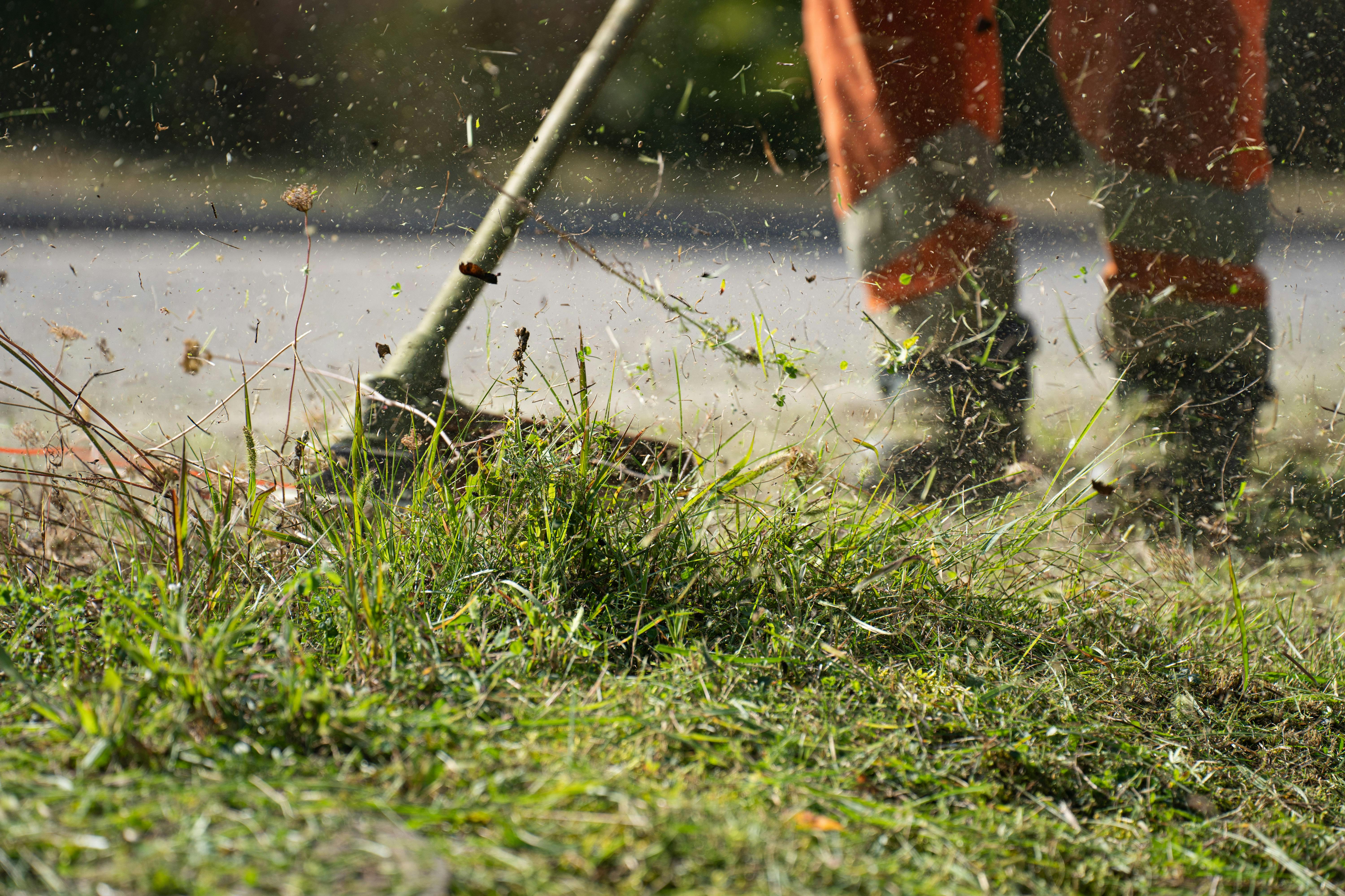 Weed Trimmer Cutting Weeds